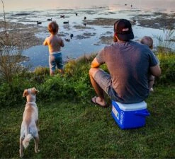 Coleman 16QT Performance Tricolor Koelbox - 15L - Blauw/Grijs 9 Coleman 16QT Performance Tricolor Koelbox - 15L - Blauw/Grijs -Buiten Kamperen 1200x1094 1