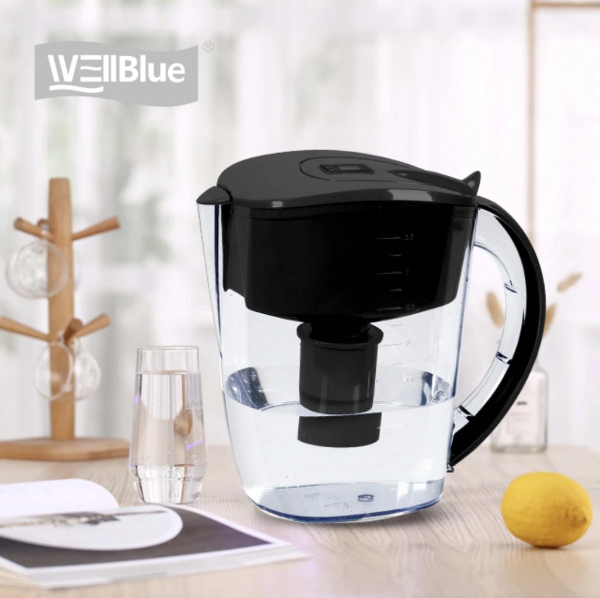 Alkaline WaterFilterkan - AlkaKan Voor Alkalisch/ Basisch Water | Met GRATIS PH-testpapier 5 Alkaline WaterFilterkan - AlkaKan Voor Alkalisch/ Basisch Water | Met GRATIS PH-testpapier - Afbeelding 3