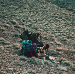 LOWLAND OUTDOOR® Donzen Slaapzak - Super Compact Blanket - 210 X 80 Cm - 590gr +8°C 23 LOWLAND OUTDOOR® Donzen Slaapzak - Super Compact Blanket - 210 X 80 Cm - 590gr +8°C -Buiten Kamperen 1200x1196 11