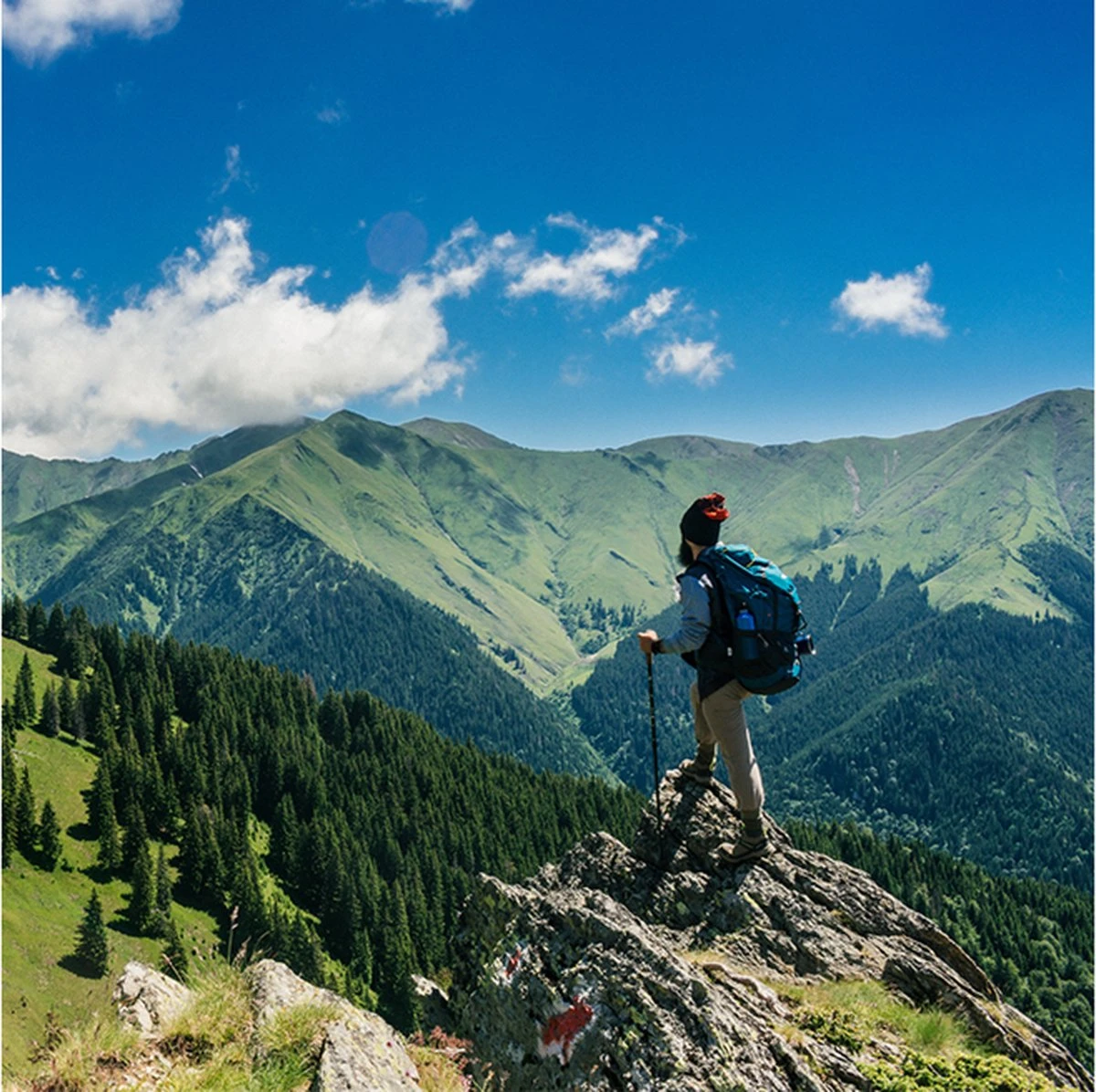 Lowland Outdoor Companion Summer Slaapzak - Dekenmodel Slaapzak - 210 X 80 Cm - Groen 13 Lowland Outdoor Companion Summer Slaapzak - Dekenmodel Slaapzak - 210 X 80 Cm - Groen - Afbeelding 11