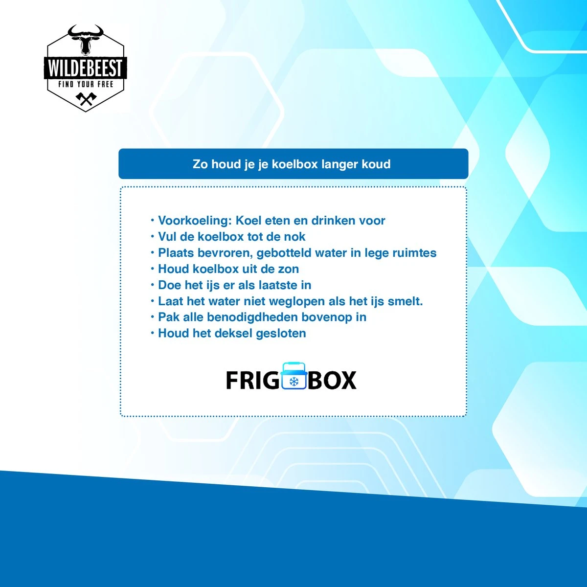 Koelbox Met ECO Modus Voor Auto & Camping Warm En Koud 32L - Frigobox Elektrisch 32 Liter Met 12v 230 Volt - Verkoelt En Verwamt - MiniBar - Mini Koelkast 9 Koelbox Met ECO Modus Voor Auto & Camping Warm En Koud 32L - Frigobox Elektrisch 32 Liter Met 12v 230 Volt - Verkoelt En Verwamt - MiniBar - Mini Koelkast - Afbeelding 8