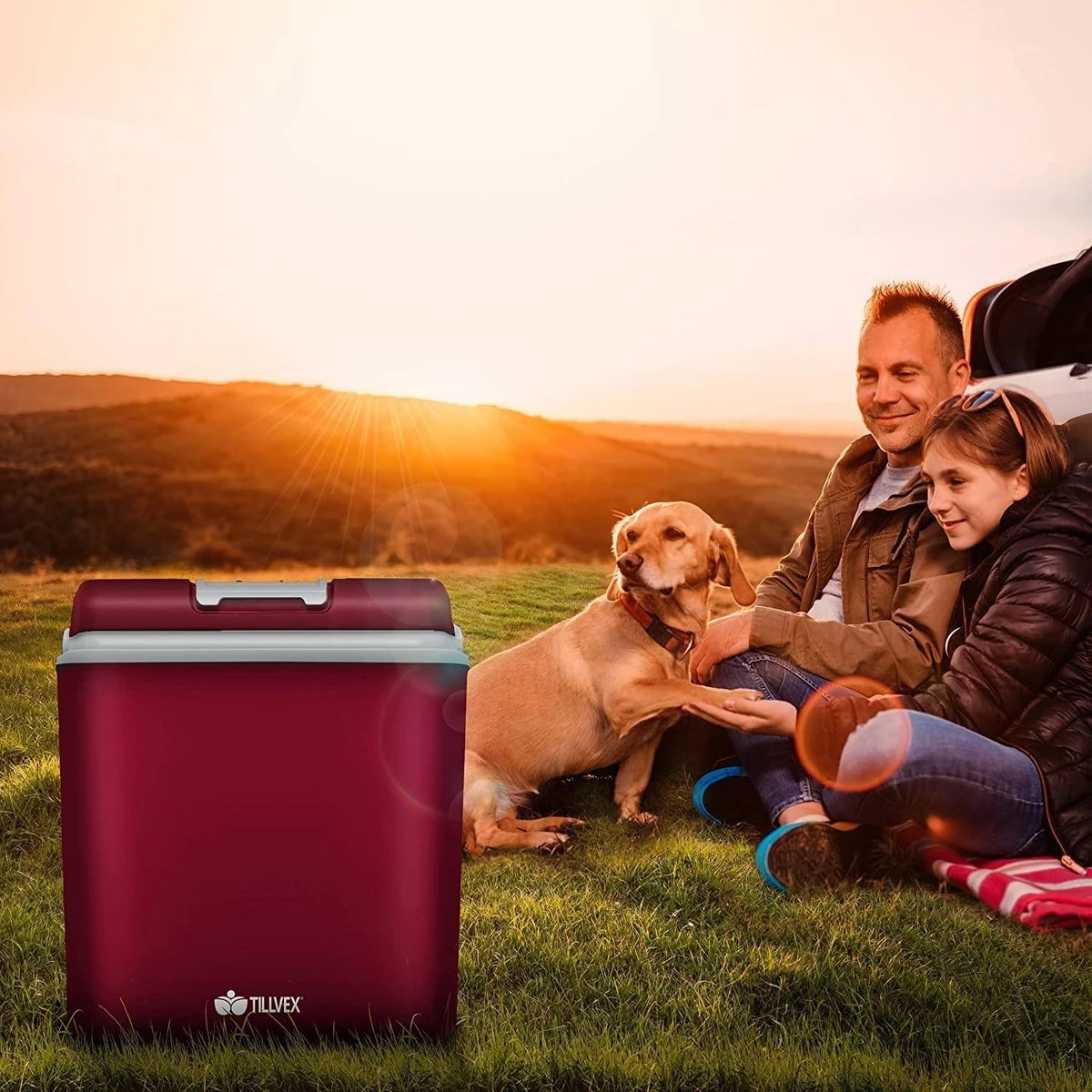 Tillvex- Koelbox, Coolbox, 24 Liter, Rood 6 Tillvex- Koelbox, Coolbox, 24 Liter, Rood - Afbeelding 4