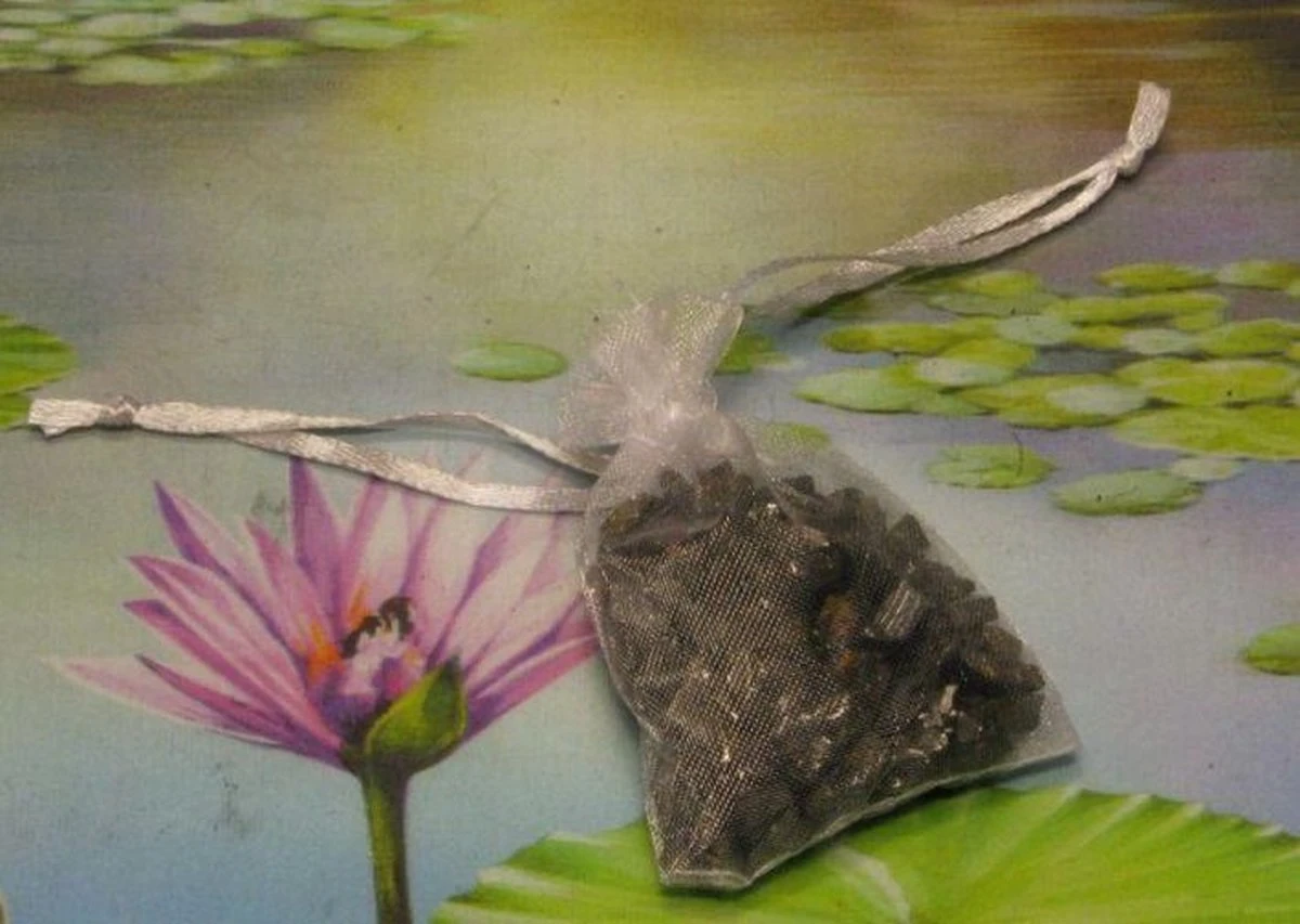 1000g Shungiet Shungite Stenen Voor Water En Ontstoring 13 1000g Shungiet Shungite Stenen Voor Water En Ontstoring - Afbeelding 11