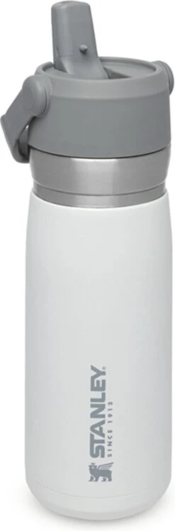 Stanley The IceFlow™ Flip Straw Water Bottle 0,65L - Thermosfles - Charcoal -Buiten Kamperen 396x1200 3